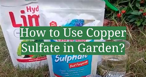 how to use copper sulfate